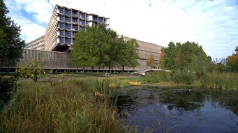 © Copyright Charité – Universitätsmedizin Berlin